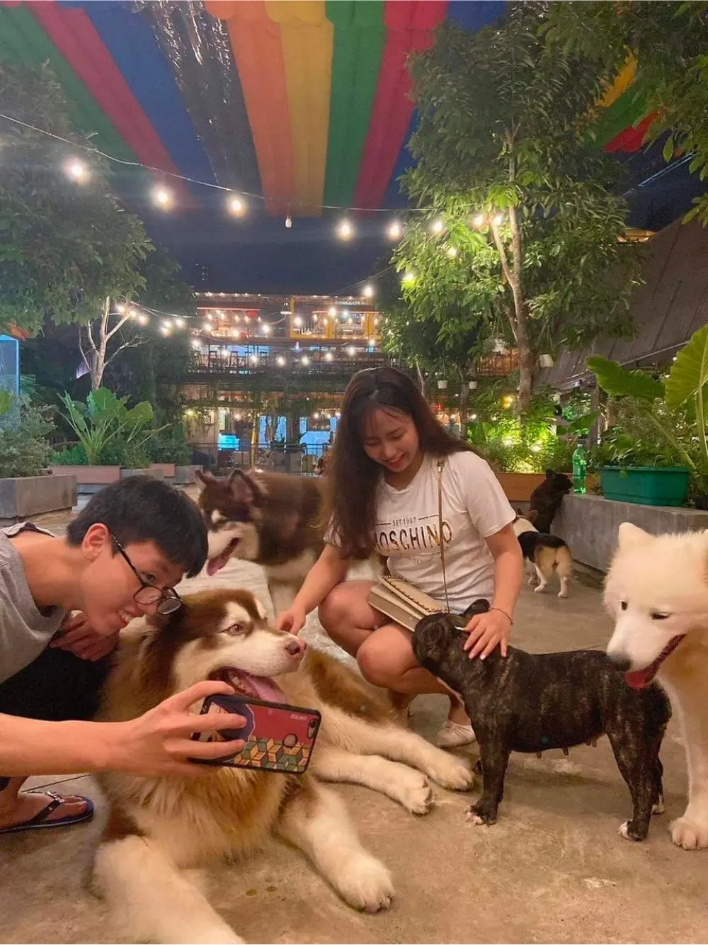 Đổi gi&oacute; với Royal Land Pet Store, kh&ocirc;ng gian c&agrave; ph&ecirc; th&uacute; cưng cực chất 6