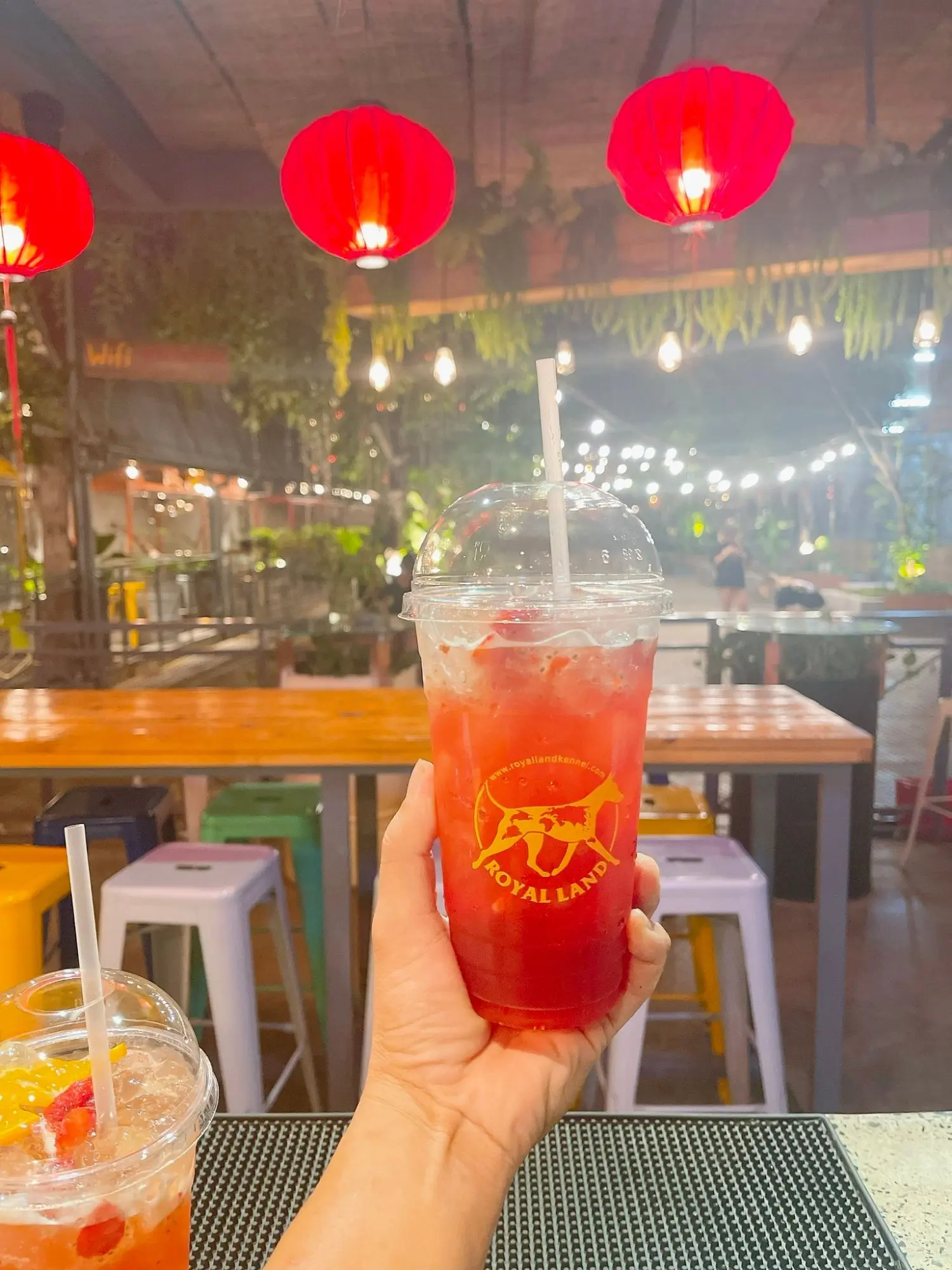 Đổi gi&oacute; với Royal Land Pet Store, kh&ocirc;ng gian c&agrave; ph&ecirc; th&uacute; cưng cực chất 3