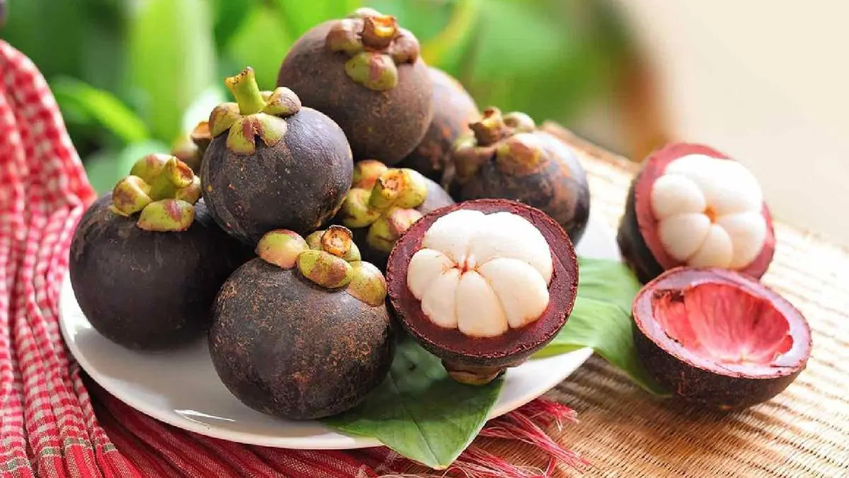 Măng cụt L&aacute;i Thi&ecirc;u v&agrave; niềm tự h&agrave;o của người d&acirc;n B&igrave;nh Dương 2