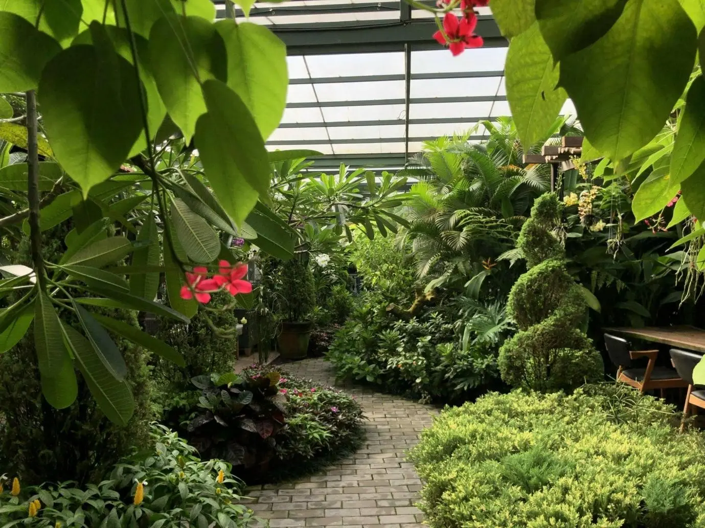 Vũ Garden, khu vườn cổ t&iacute;ch giữa l&ograve;ng phố thị 4