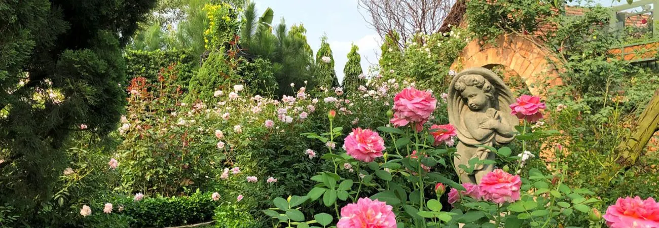 Vũ Garden, khu vườn cổ tích giữa lòng phố thị