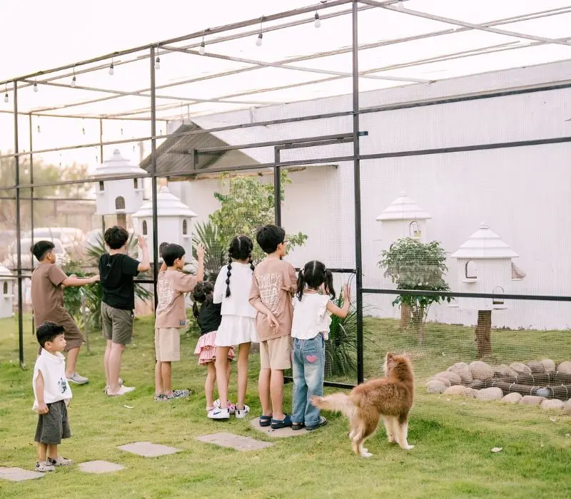 A New Day Glamping Tân Uyên, thư giãn tuyệt đối giữa thiên nhiên 10