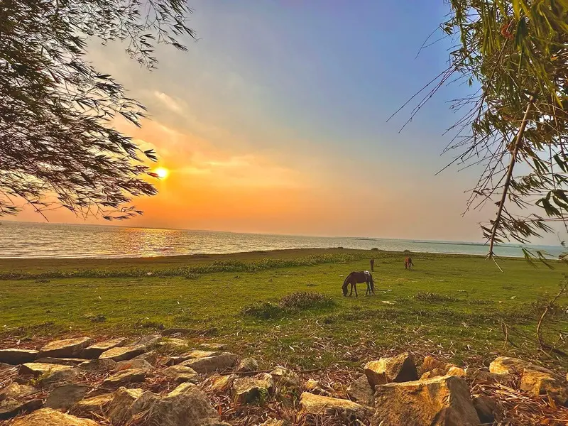Bằng Lăng Glamping, chốn d&atilde; ngoại cực chill b&ecirc;n hồ Dầu Tiếng 2