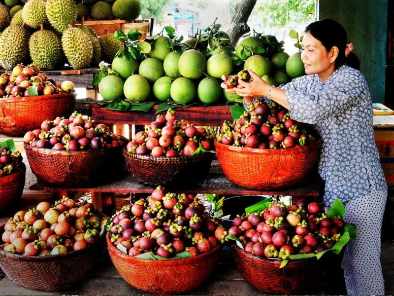 Gợi &yacute; lịch tr&igrave;nh 1 ng&agrave;y kh&aacute;m ph&aacute; vườn tr&aacute;i c&acirc;y L&aacute;i Thi&ecirc;u cực vui 9