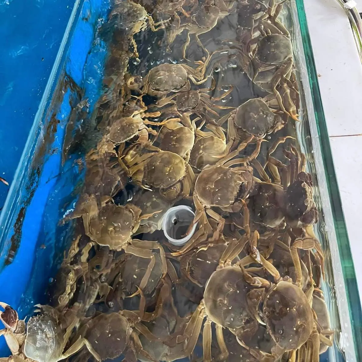 Bật mí top quán hải sản Bình Phước siêu ngon dành cho tín đồ ăn uống 9