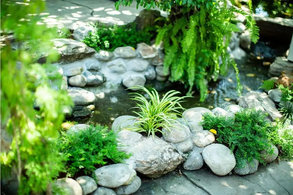 Đến Trầm Koi Garden Coffee tận hưởng kh&ocirc;ng gian nh&agrave; vườn an tĩnh 6