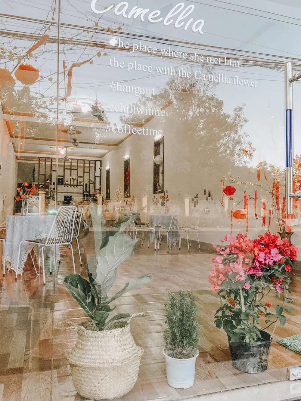 Kh&aacute;m ph&aacute; Camellia Tea House ngọt ng&agrave;o từ đồ uống đến kh&ocirc;ng gian 2