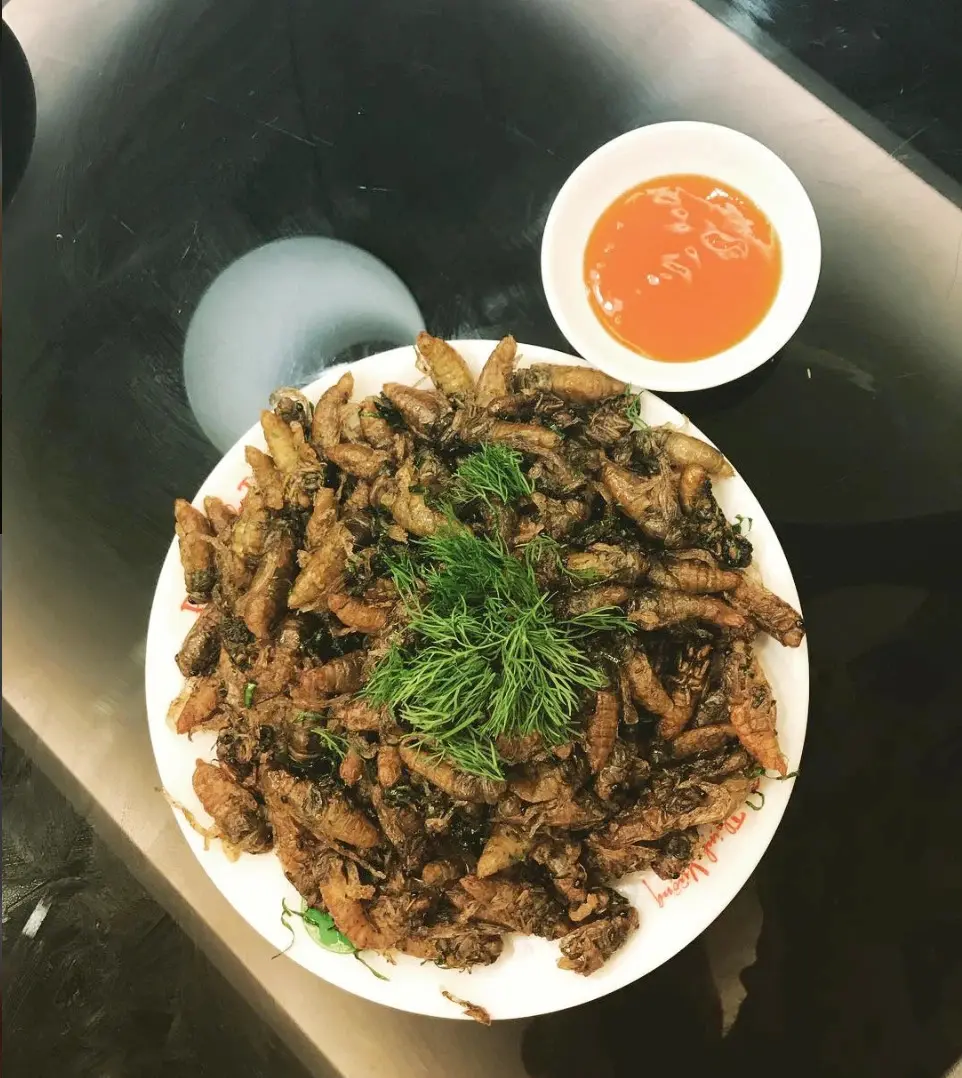Ve sầu chiên giòn, đặc sản độc nhất vô nhị của vùng Bình Phước 2