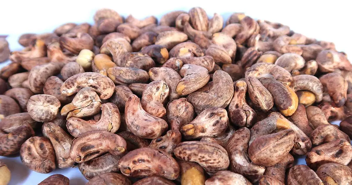 Hạt điều rang muối, món ăn vặt hấp dẫn của vùng Bình Phước