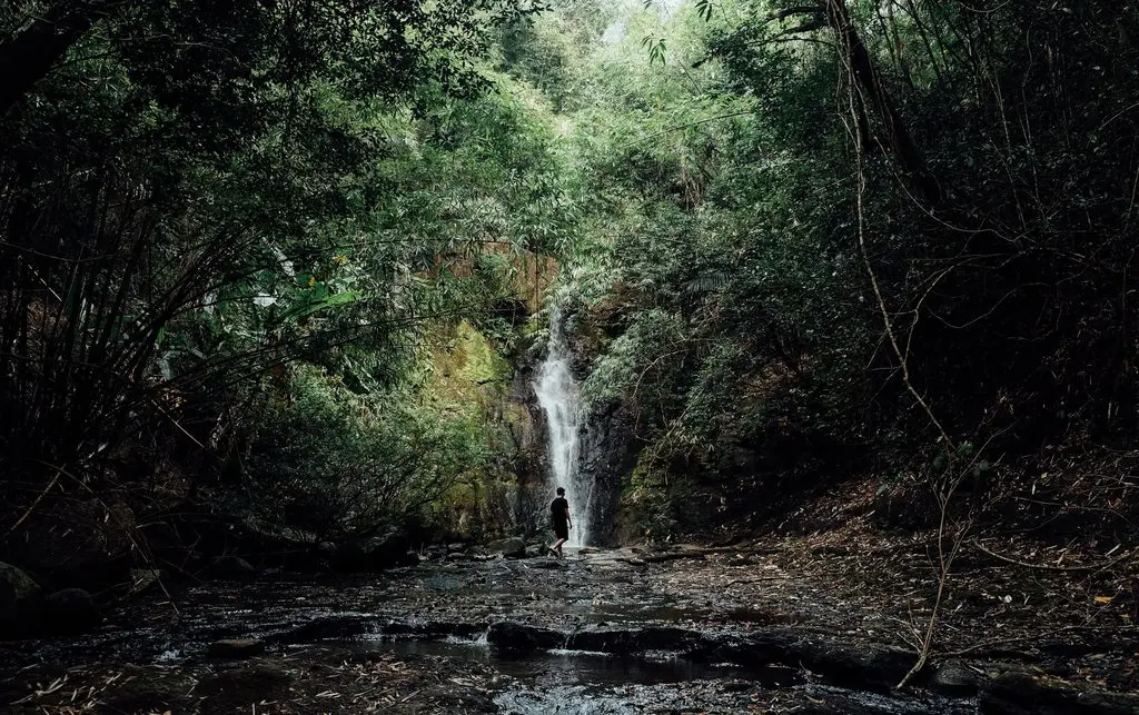 Trải nghiệm Trekking B&ugrave; Gia Mập 3N2Đ, lịch tr&igrave;nh tự t&uacute;c d&agrave;nh cho t&iacute;n đồ du lịch 5