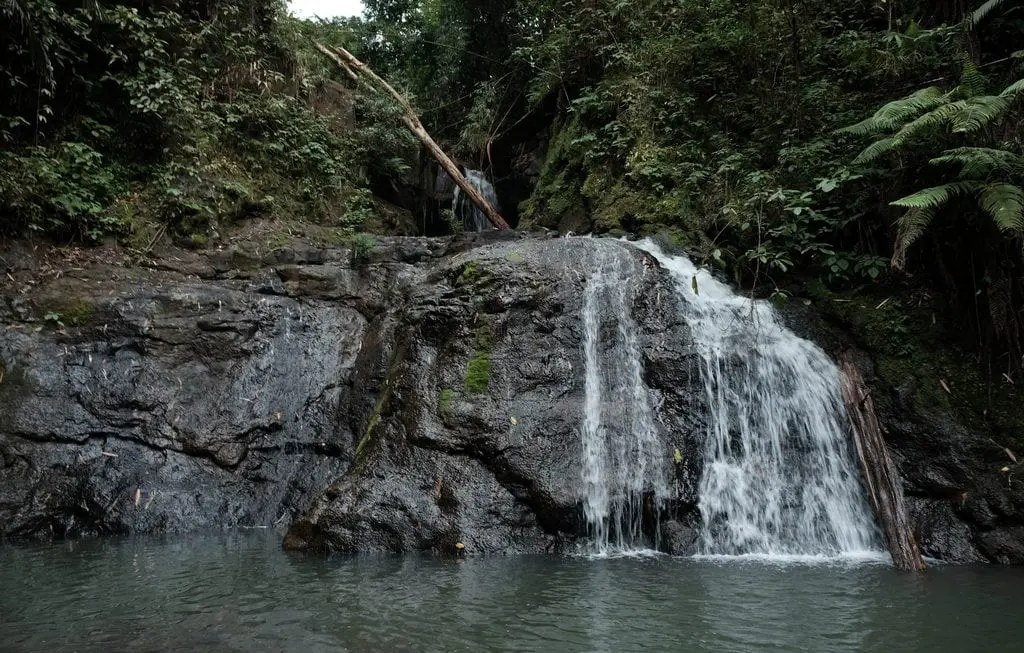 Trải nghiệm Trekking B&ugrave; Gia Mập 3N2Đ, lịch tr&igrave;nh tự t&uacute;c d&agrave;nh cho t&iacute;n đồ du lịch 3