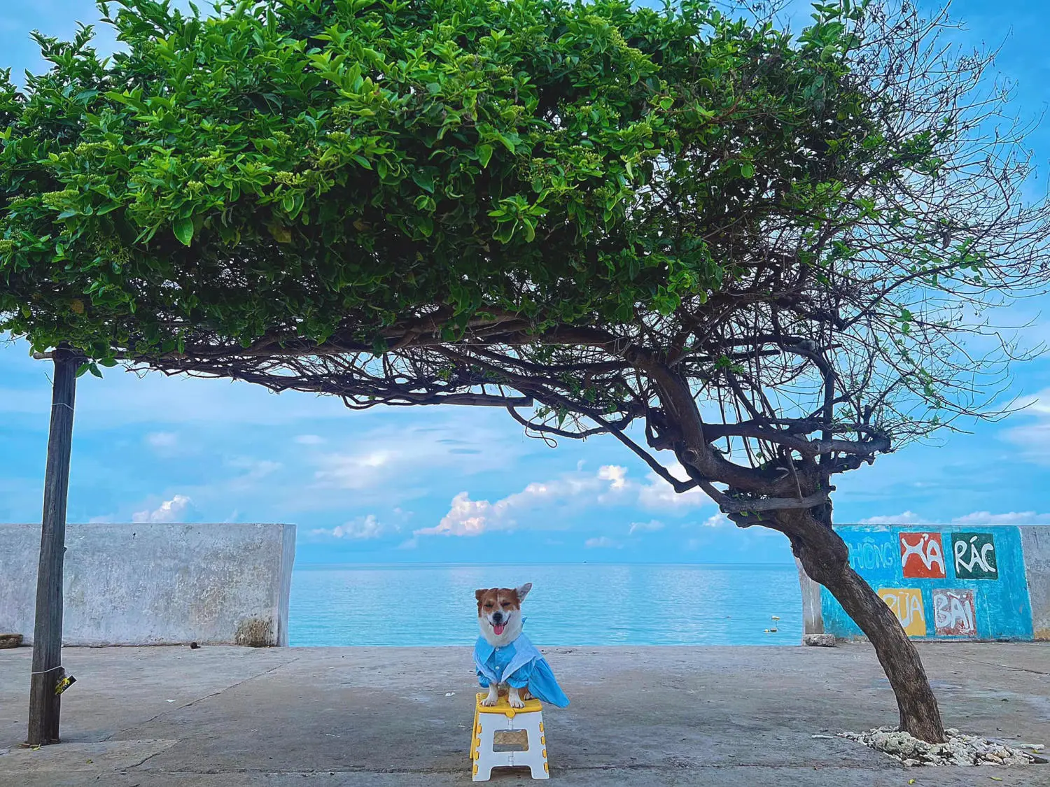 Đến Đảo Ph&uacute; Qu&yacute; c&ugrave;ng c&uacute;n y&ecirc;u khuấy động m&ugrave;a h&egrave; nh&agrave;m ch&aacute;n 6