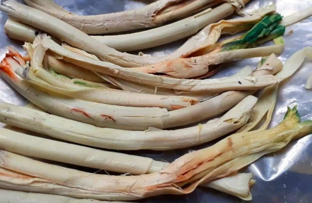 Đọt m&acirc;y gai DakLak, đặc sản độc đ&aacute;o của n&uacute;i rừng T&acirc;y Nguy&ecirc;n 3
