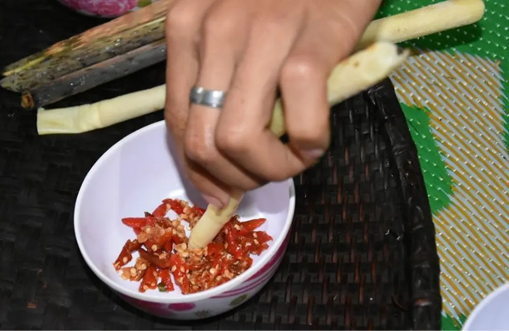 Đọt m&acirc;y gai DakLak, đặc sản độc đ&aacute;o của n&uacute;i rừng T&acirc;y Nguy&ecirc;n 5
