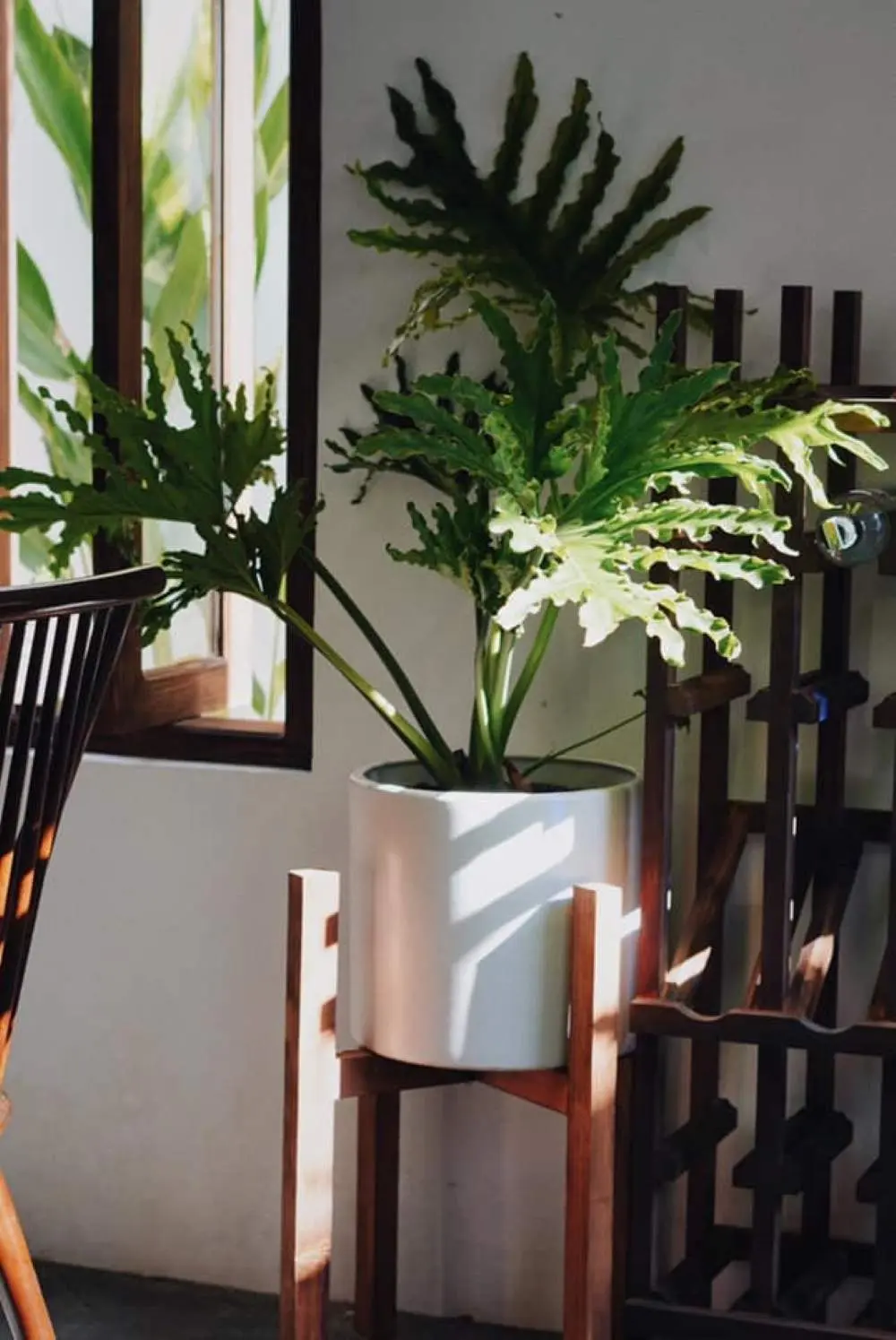 High Coffee, g&oacute;c nhỏ y&ecirc;n b&igrave;nh d&agrave;nh cho những t&acirc;m hồn đầy bộn bề 6