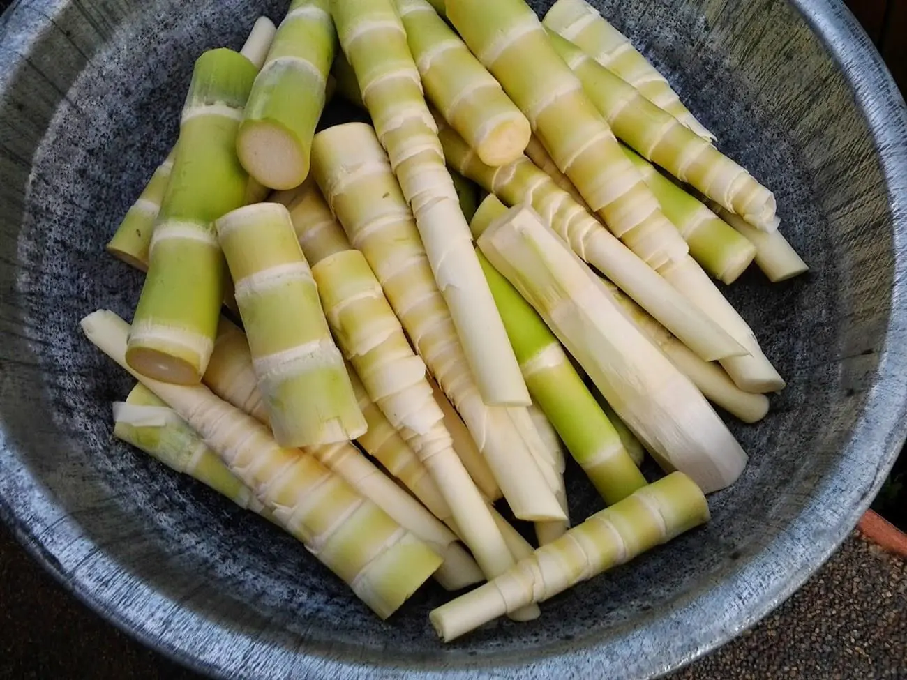 Thử một lần ăn Măng Le DakLak thơm ngon nức tiếng với MIA.vn 2