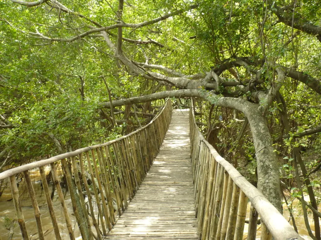 Đến ngay top 9 địa điểm du lịch Bu&ocirc;n Ma Thuột đẹp m&ecirc; hồn 6