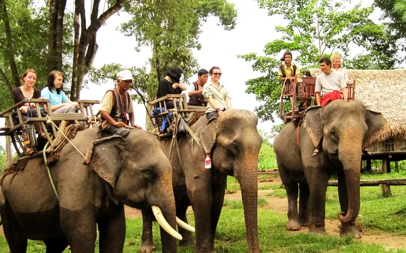 Về Bu&ocirc;n Đ&ocirc;n nghe tiếng chi&ecirc;ng rừng giữa v&ugrave;ng n&uacute;i T&acirc;y Nguy&ecirc;n 12