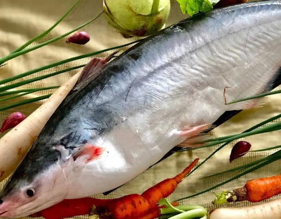C&aacute; dứa C&agrave; Mau v&agrave; những m&oacute;n ngon m&agrave; bạn kh&ocirc;ng n&ecirc;n bỏ lỡ 2