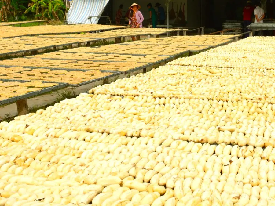 Đặc sản Chuối kh&ocirc; C&agrave; Mau thơm ngon nức tiếng gần xa 4