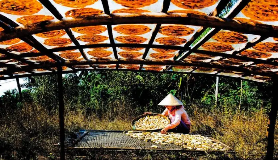 Đặc sản Chuối kh&ocirc; C&agrave; Mau thơm ngon nức tiếng gần xa 5
