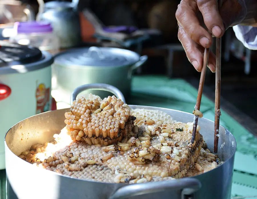 Gỏi nhộng ong rừng U Minh, đặc sản qu&yacute; hiếm ở miệt rừng tr&agrave;m 4