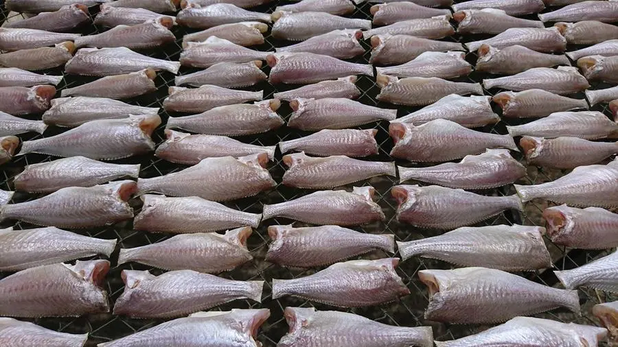 Kh&ocirc; c&aacute; đ&ugrave; C&agrave; Mau, đặc sản th&iacute;ch hợp mua về l&agrave;m qu&agrave; 2
