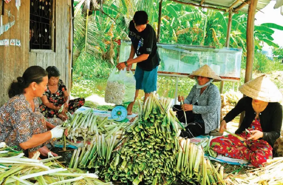 Thưởng thức Bồn bồn C&agrave; Mau, đặc sản d&acirc;n d&atilde; của v&ugrave;ng đất mũi 6