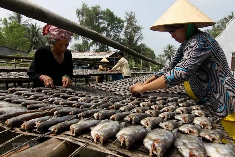 Xu&ocirc;i về đất mũi thưởng thức 12 đặc sản C&agrave; Mau thơm ngon nức tiếng 3