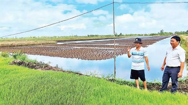 Thới B&igrave;nh C&agrave; Mau: V&ugrave;ng đất s&ocirc;ng nước đẹp m&ecirc; hoặc du kh&aacute;ch 3