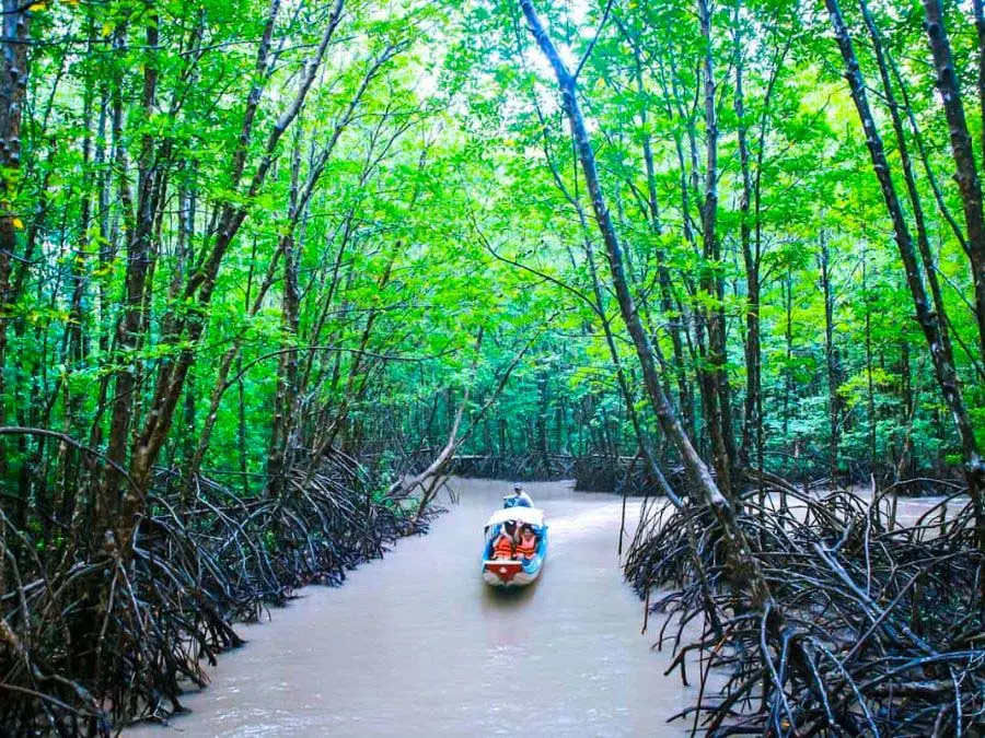 Gợi &yacute; lịch tr&igrave;nh Cần Thơ C&agrave; Mau 2 ng&agrave;y 1 đ&ecirc;m chi tiết 10