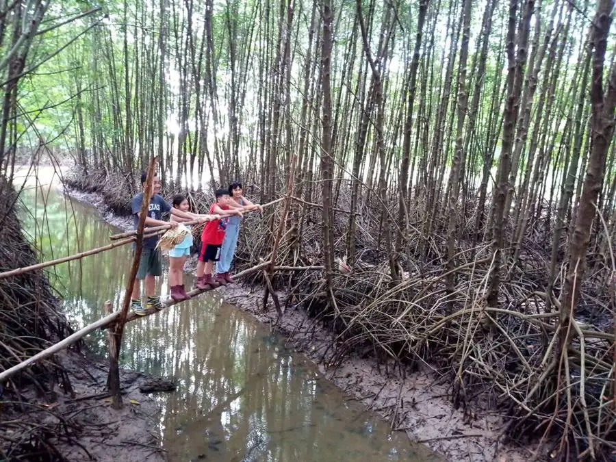 L&ecirc;n kế hoạch lịch tr&igrave;nh C&agrave; Mau 2 ng&agrave;y 1 đ&ecirc;m vui qu&ecirc;n lối về 3