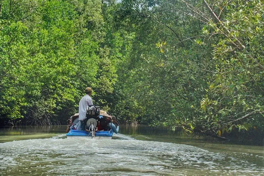 L&ecirc;n kế hoạch lịch tr&igrave;nh C&agrave; Mau 2 ng&agrave;y 1 đ&ecirc;m vui qu&ecirc;n lối về 11