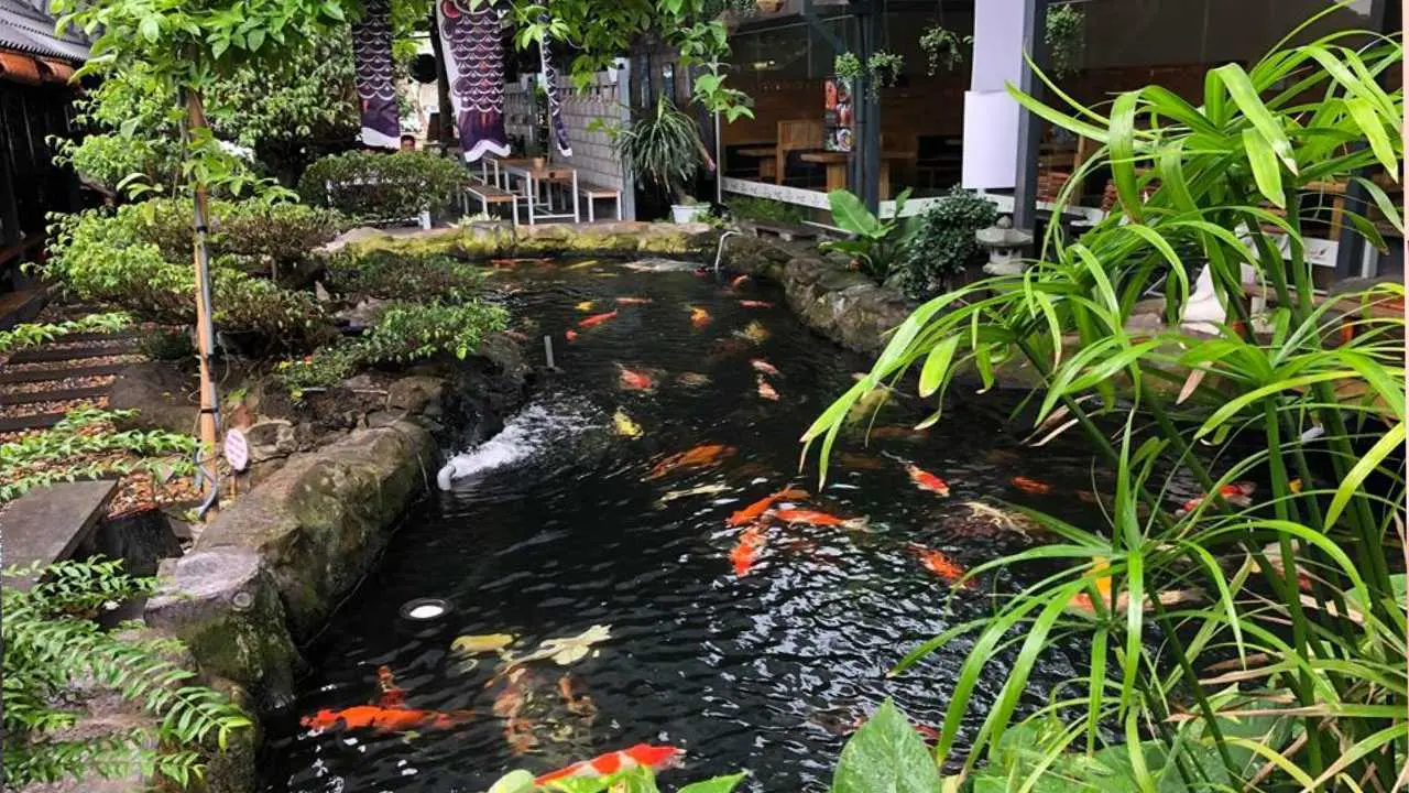Check-in Top qu&aacute;n cafe kh&ocirc;ng gian đẹp Cần Thơ v&ocirc; c&ugrave;ng sang chảnh 9