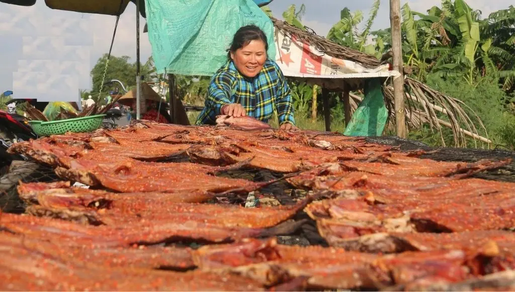 C&ograve;n g&igrave; bằng nh&acirc;m nhi m&oacute;n ngon đặc sản Kh&ocirc; c&aacute; l&oacute;c Cần Thơ 6