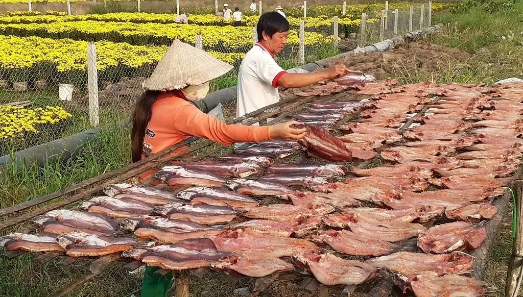 C&ograve;n g&igrave; bằng nh&acirc;m nhi m&oacute;n ngon đặc sản Kh&ocirc; c&aacute; l&oacute;c Cần Thơ 2