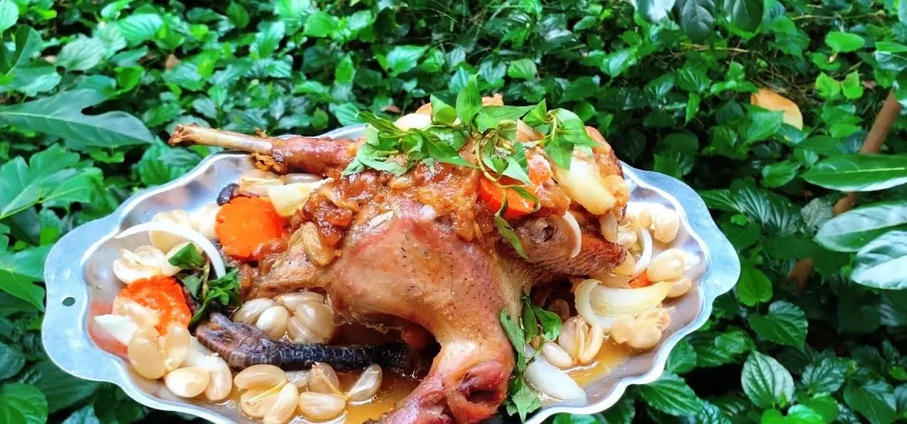 Đến T&acirc;y Đ&ocirc;, thử ngay m&oacute;n ngon G&agrave; um d&acirc;u Hạ Ch&acirc;u lạ miệng 6