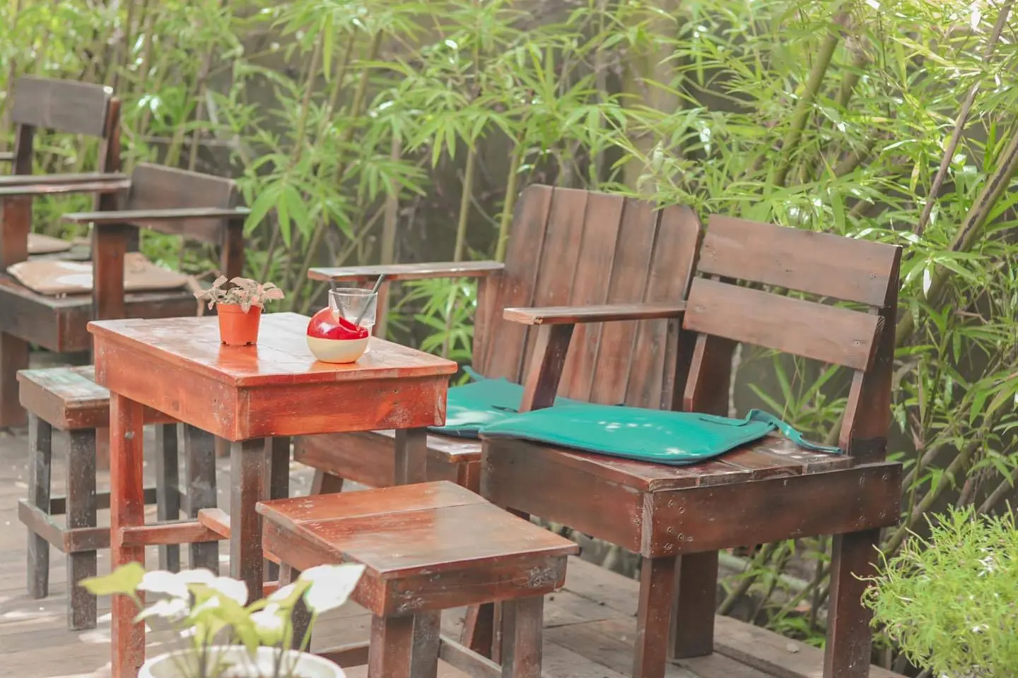 Đi trốn đến Cafe Họa Mi b&igrave;nh y&ecirc;n giữa l&ograve;ng th&agrave;nh phố 10
