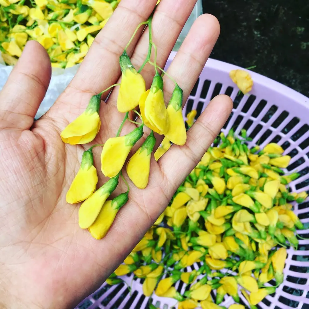 Lẩu bần ph&ugrave; sa đậm đ&agrave; hương vị đồng qu&ecirc; Cần Thơ 5