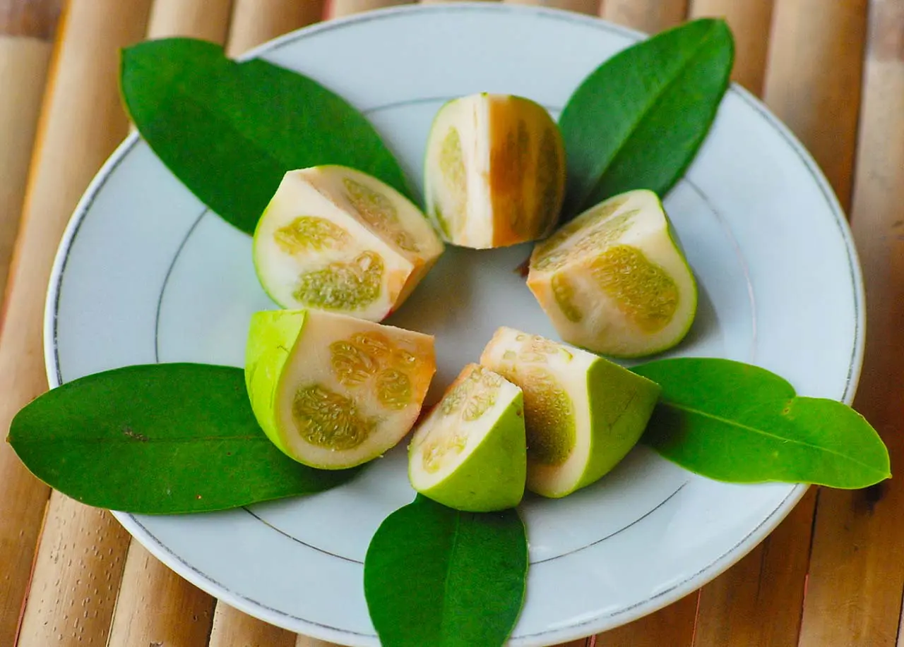 Lẩu bần ph&ugrave; sa đậm đ&agrave; hương vị đồng qu&ecirc; Cần Thơ 3