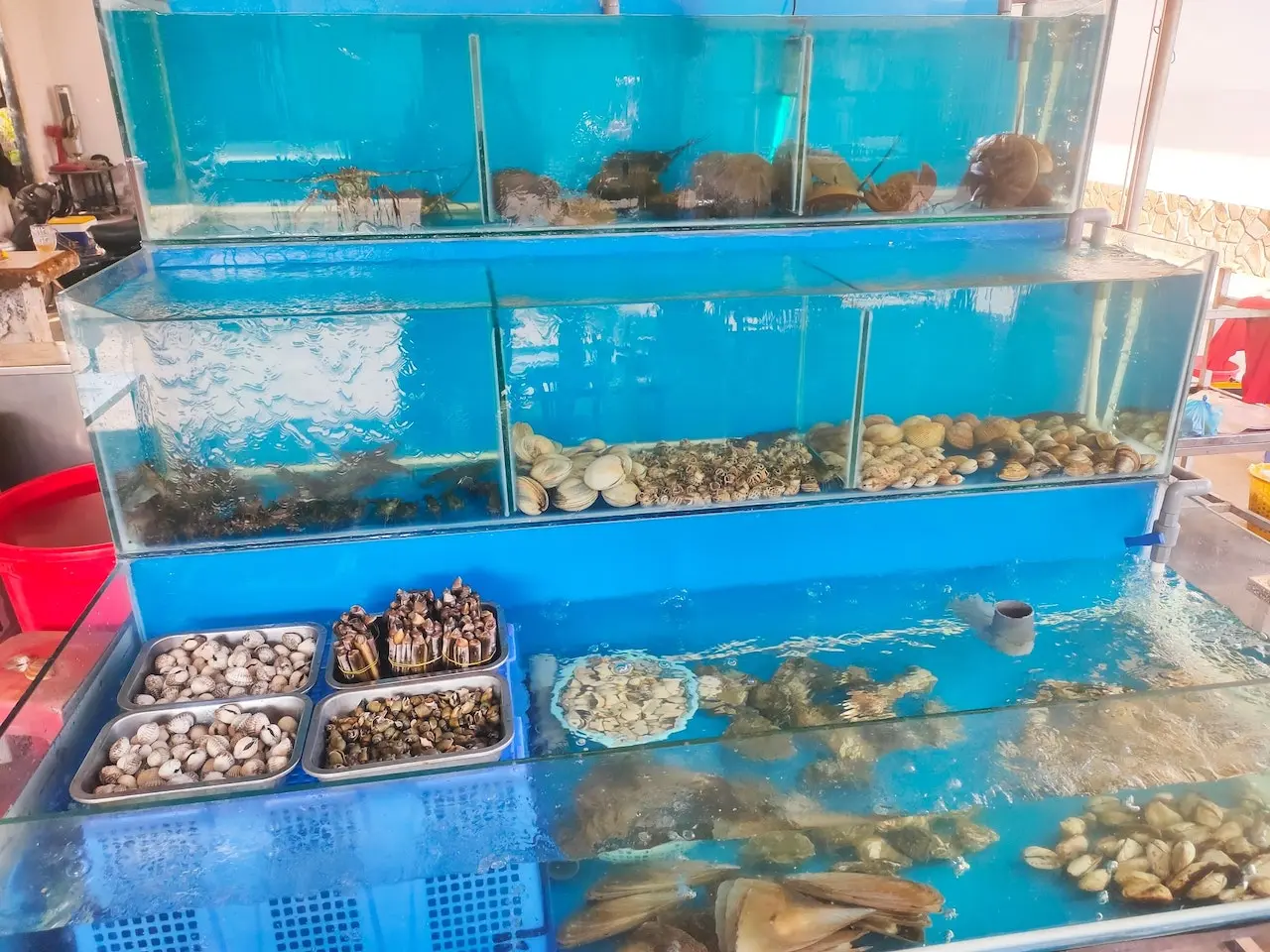 No n&ecirc; căng cả bụng với bữa hải sản thơm ngon tại Qu&aacute;n Th&aacute;i Nướng 9
