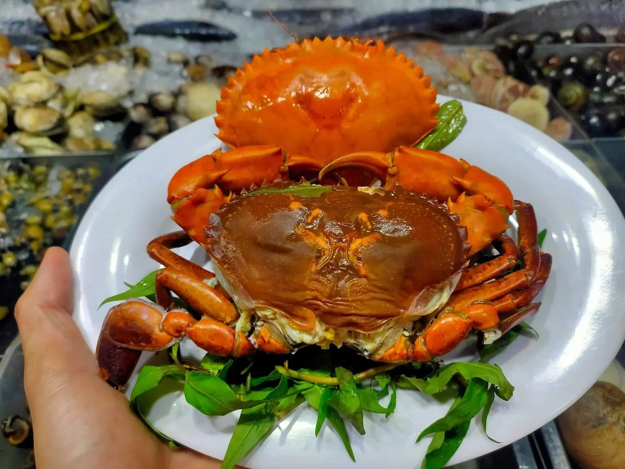 No n&ecirc; căng cả bụng với bữa hải sản thơm ngon tại Qu&aacute;n Th&aacute;i Nướng 16
