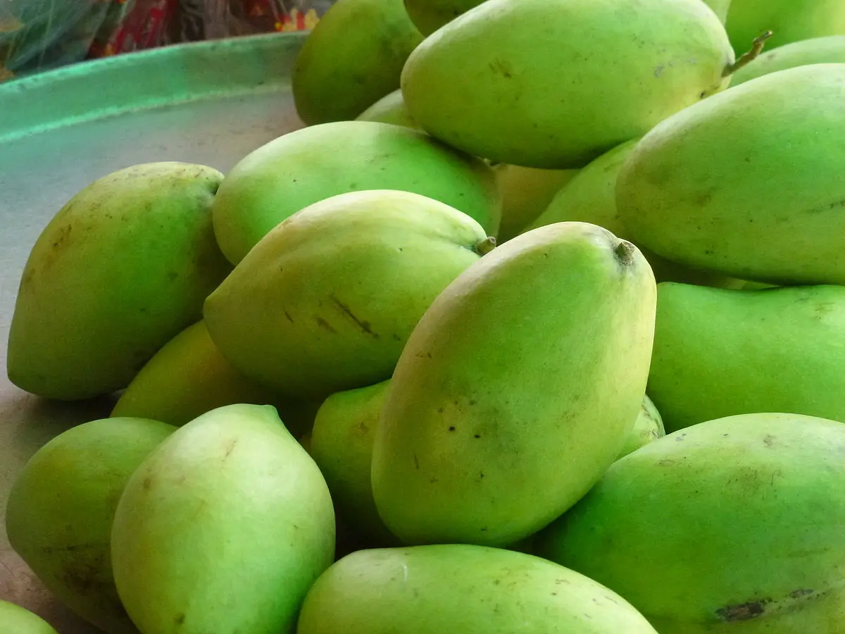 Top Tr&aacute;i c&acirc;y Cần Thơ gọi t&ecirc;n đặc sản n&agrave;o đ&atilde; ăn l&agrave; chỉ c&oacute; ghiền? 9