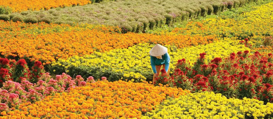 Kh&aacute;m ph&aacute; Cần Thơ mộc mạc trong h&agrave;nh tr&igrave;nh ngược về miền T&acirc;y s&ocirc;ng nước 10