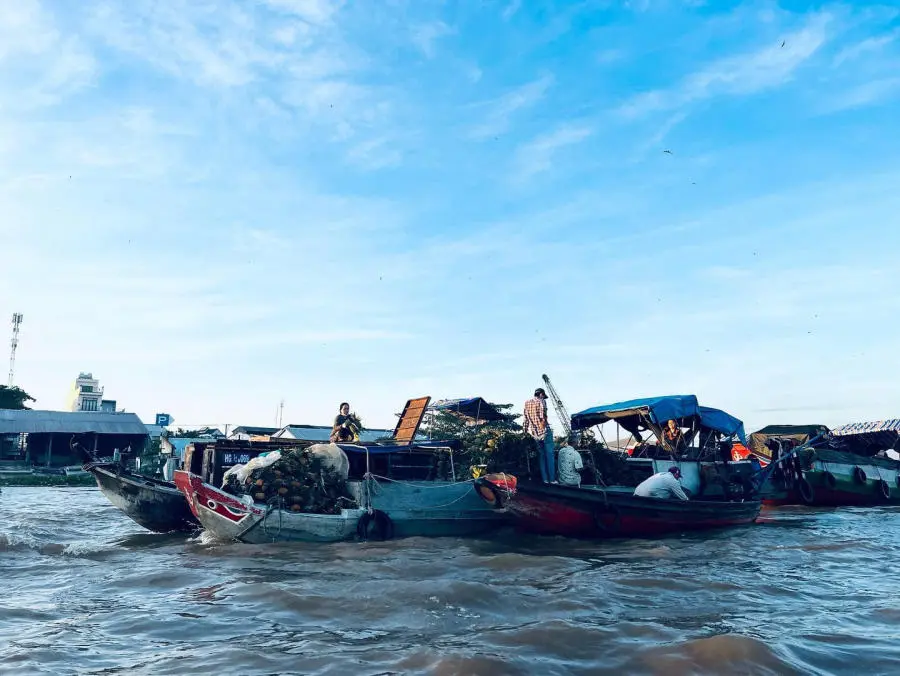 Khám phá Chợ nổi Cái Răng, nét đặc sắc của riêng miền Tây sông nước 10