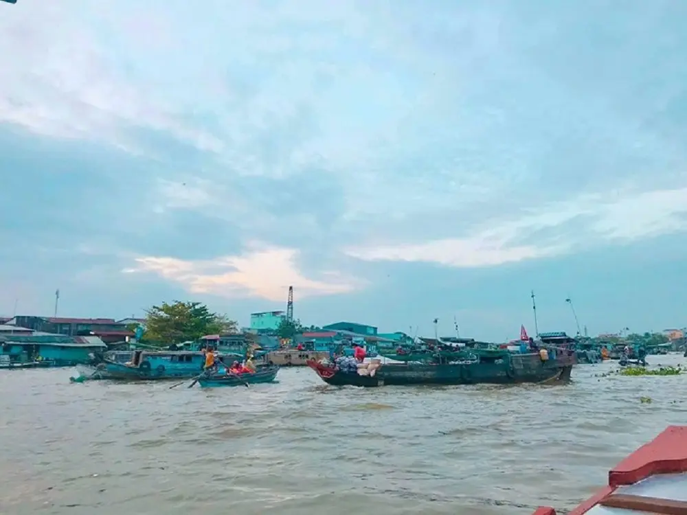Khám phá chuyến đi 2N1Đ ăn chơi ở Cồn Sơn cực thú vị với MIA.vn 8