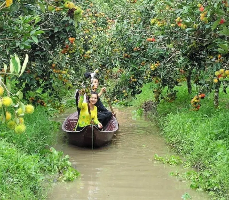 Top 5 vườn sầu riêng Cần Thơ, vừa ăn vừa mê cảnh đẹp miệt vườn 8