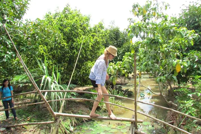Về với miệt vườn Cần Thơ, kh&aacute;m ph&aacute; vẻ đẹp s&ocirc;ng nước thanh b&igrave;nh 5