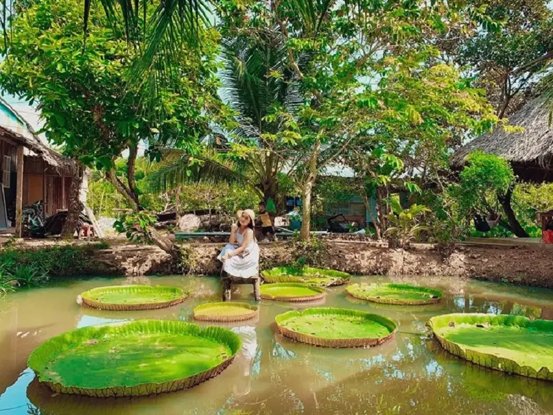 Khám phá chuyến đi 2N1Đ ăn chơi ở Cồn Sơn cực thú vị với MIA.vn