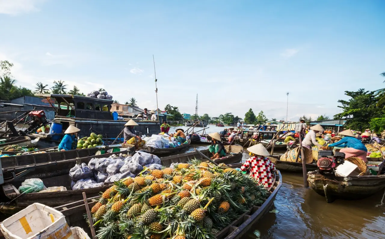 C&ugrave;ng MIA.vn tham gia h&agrave;nh tr&igrave;nh 24h kh&aacute;m ph&aacute; vẻ đẹp đất T&acirc;y Đ&ocirc; 5